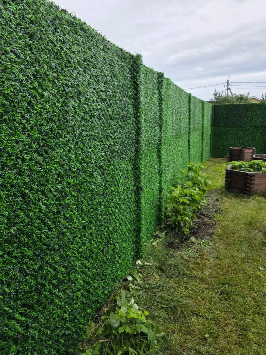 Вечнозеленый забор Grass Fence 37м фото 1 в Ханты-Мансийске